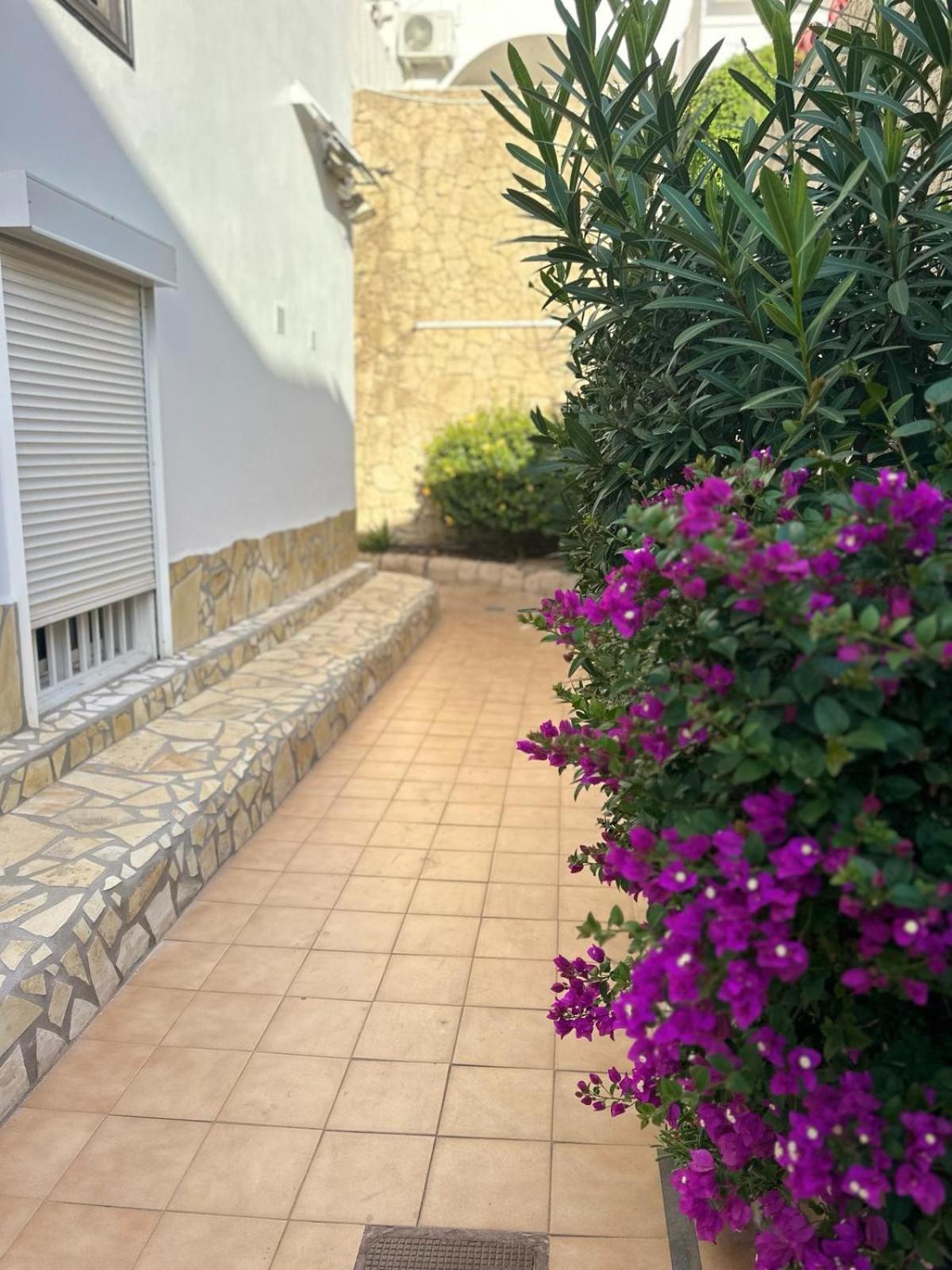 Sunny Sea View Apartment Center Of Las Americas Playa de las Americas (Tenerife) Exterior foto