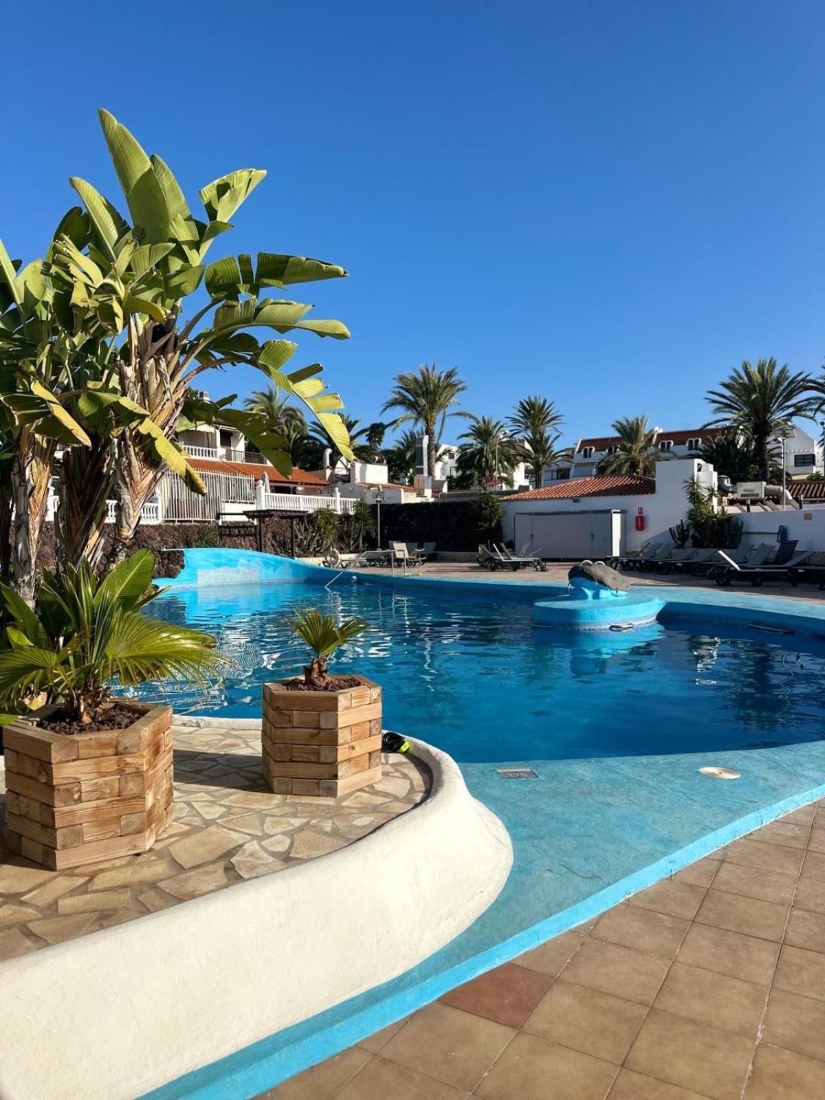 Sunny Sea View Apartment Center Of Las Americas Playa de las Americas (Tenerife) Exterior foto