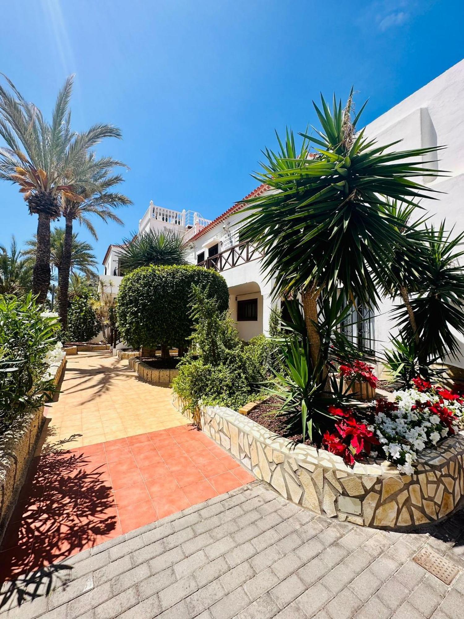 Sunny Sea View Apartment Center Of Las Americas Playa de las Americas (Tenerife) Exterior foto