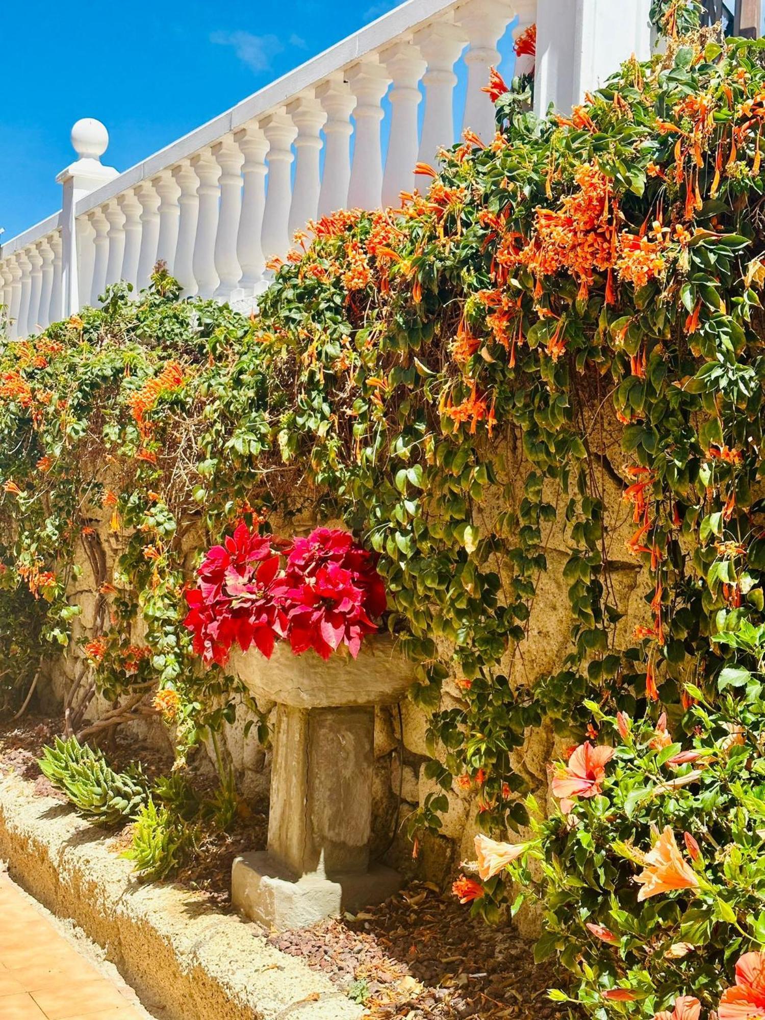 Sunny Sea View Apartment Center Of Las Americas Playa de las Americas (Tenerife) Exterior foto